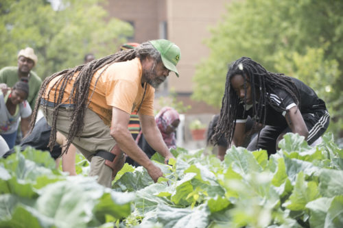Chaney helps youth and community gardeners check for cabbage worms on the undersides of the leaves