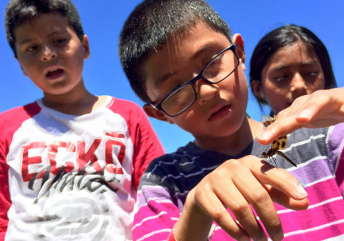 East Side Water Watch students holding a dragonfly.
