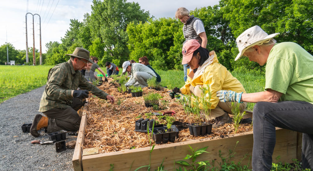 Volunteers planting a raised-bed garden.