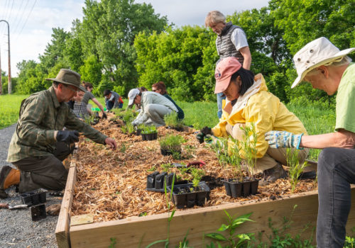 Volunteers planting a raised-bed garden.