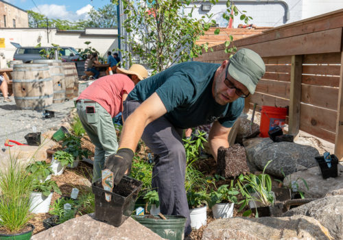 Metro Blooms staff and volunteers plant a new raingarden at Fair State Brewing Cooperative in September 2019.