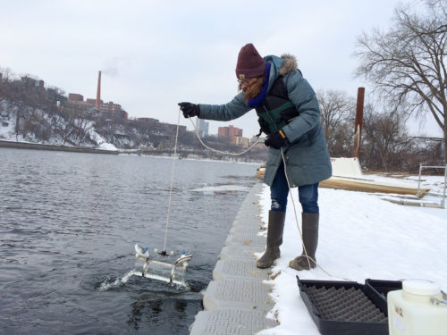 MWMO Environmental Specialist Brittany Faust collecting a river water quality sample in winter.