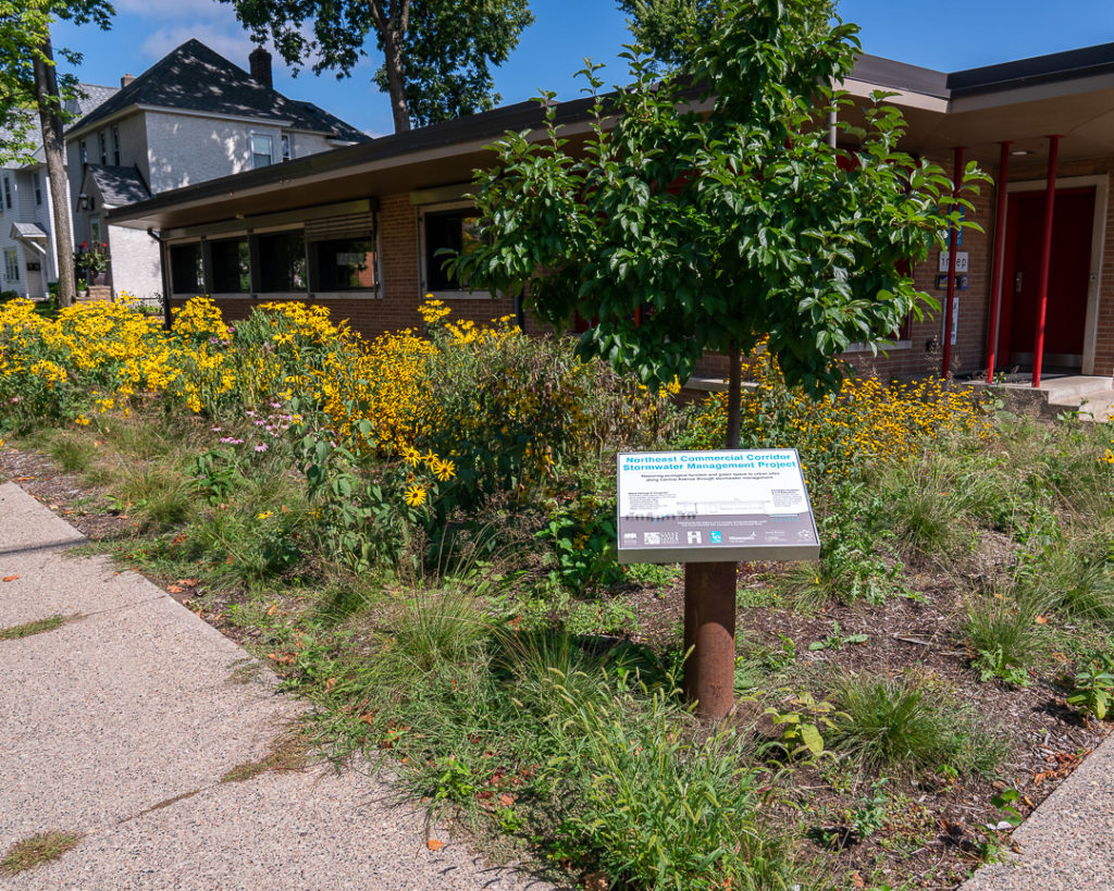 The TE Studio rain garden in September 2019.
