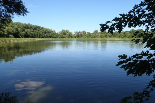 Sullivan Lake in Columbia Heights, Minn.