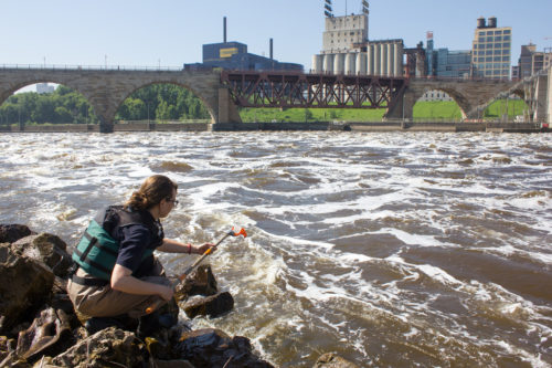 MWMO staff collects a water sample near the University of Minnesota's St. Anthony Falls Laboratory.