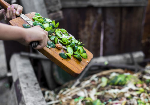 Scraping vegetable scraps into a compost pile.