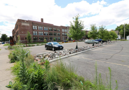 The tree trench at Thomas Edison High School.