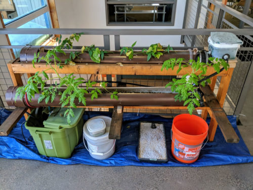 The MWMO's hydroponic gardening system, as seen indoors in early 2018.