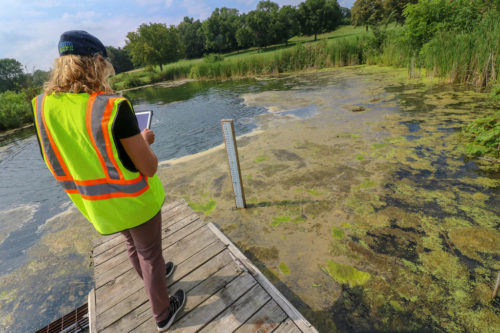 MWMO Capital Projects Intern Madeline Hankard checks and records the water level in a pond at the Columbia Golf Course.