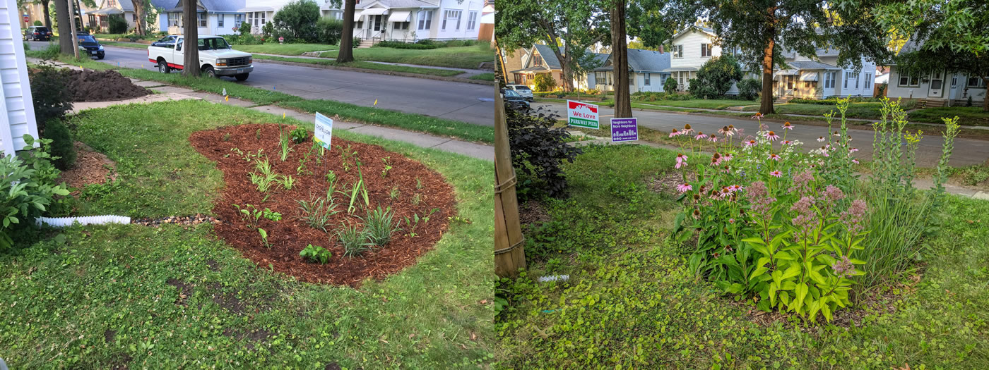 Side-by-side photos, taken two years apart, of a residential raingarden in Minneapolis.