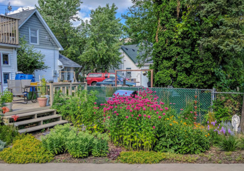 A residential raingarden in Minneapolis.