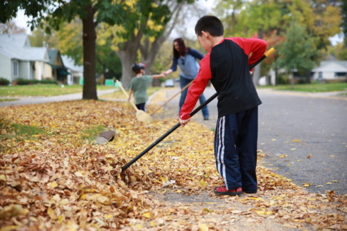A boy sweeping leaves out of a street curb. (Photo: Clean Water Minnesota)