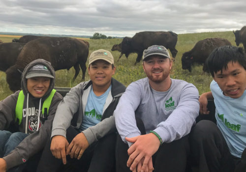 LEAF interns and their mentor pose in front of a herd of buffalo. (Photo: The Nature Conservancy)