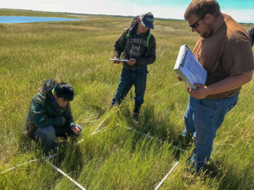 The LEAF interns learn how to do biological monitoring in North Dakota. (Photo: The Nature Conservancy)