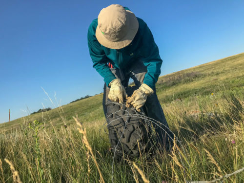 A LEAF intern building a barbed-wire fence. (Photo: The Nature Conservancy)