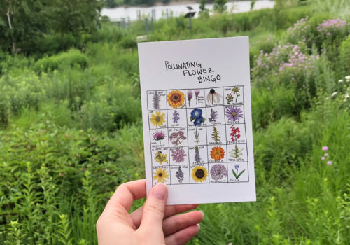 A hand holding up a pollinating flower bingo card.