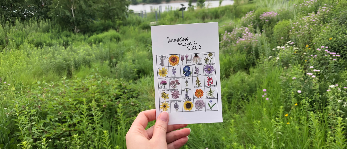 A hand holding up a pollinating flower bingo card.