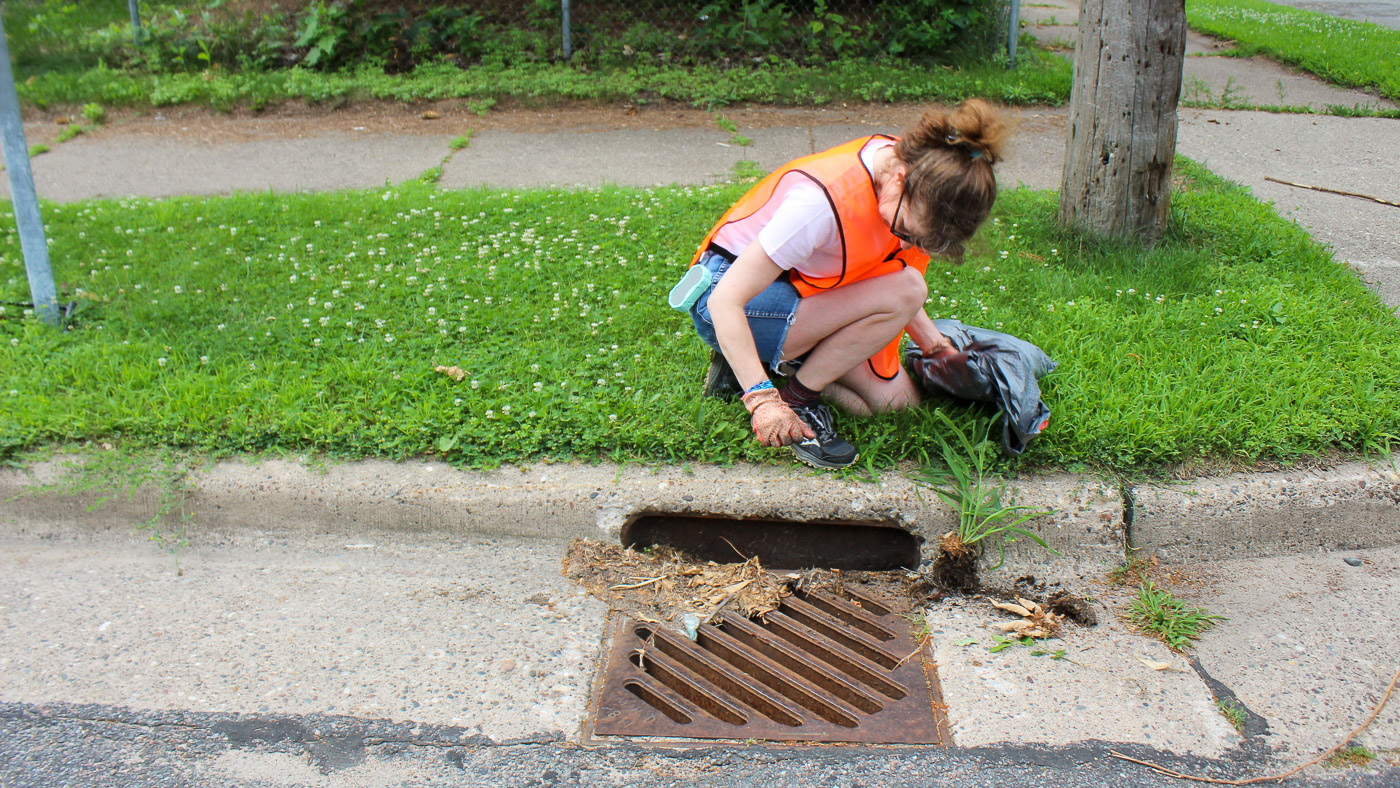 A St. Anthony East neighbor clears yard waste out of a stormdrain.