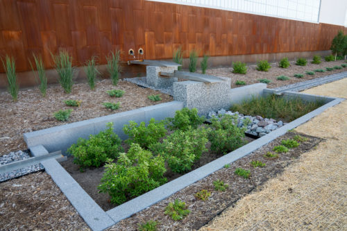 A raingarden in front of the East Side Storage and Maintenance Facility.