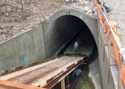 The 4PP Stormwater Outfall.