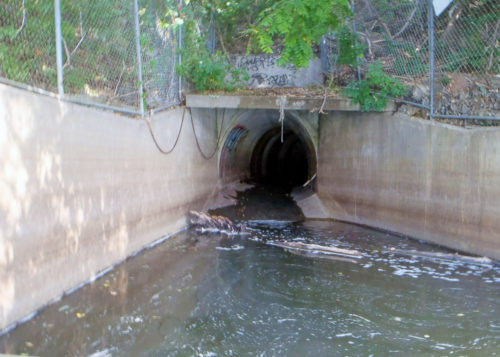 The 6UMN stormwater outfall.
