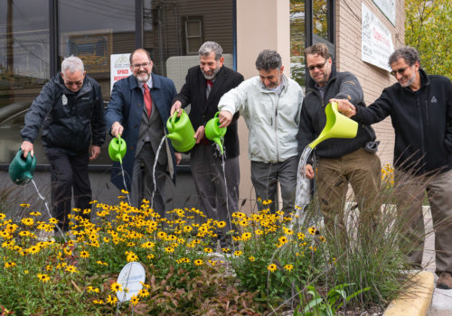 A group of men watering a raingarden using watering cans.