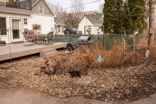 A raingarden in a residential backyard in late winter.