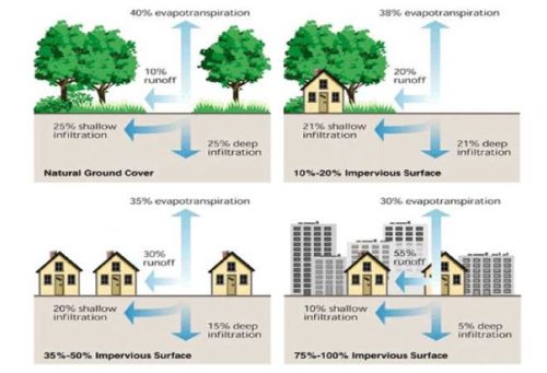 Illustration showing the difference between urban and natural hydrology.