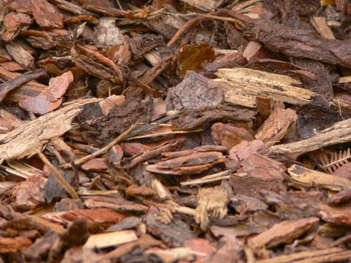 A pile of shredded hardwood mulch.