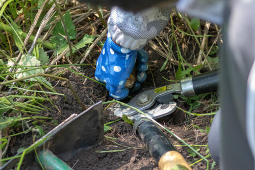 Cutting invasive plants out of a raingarden.