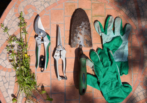 Gardening tools laid out on a table.