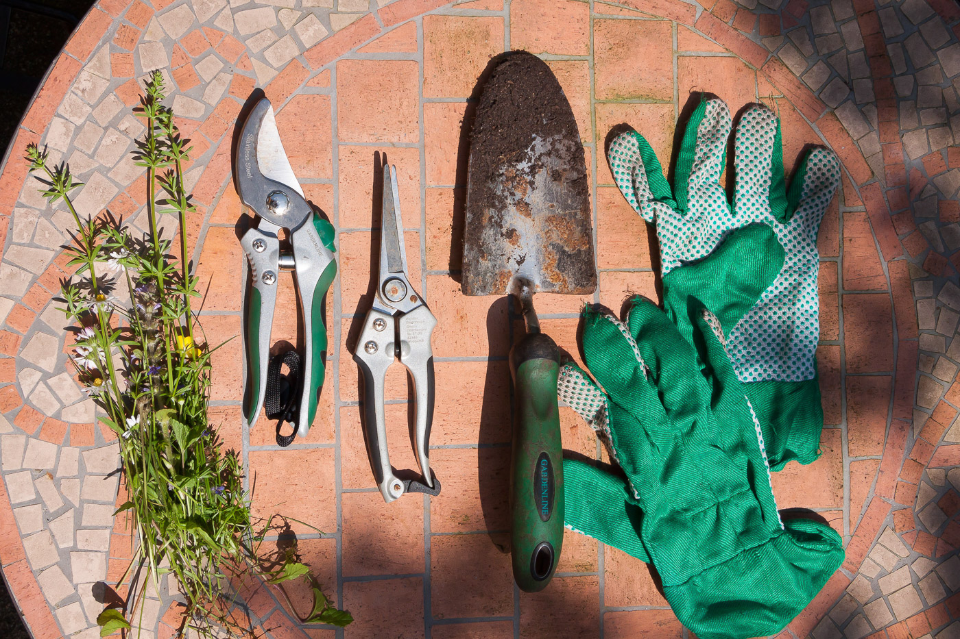 Gardening tools laid out on a table.