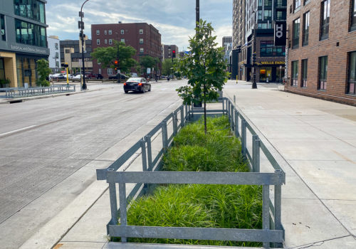 A stormwater planter on 8th Street in July 2022.