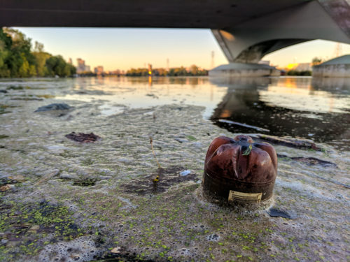 A plastic bottle floating in the Mississippi River.