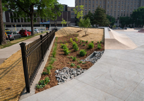 Raingarden at the Elliot Park Skate Plaza