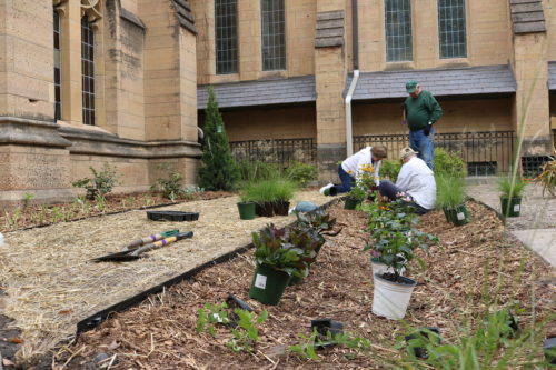 Volunteers planting a raingarden at University Baptist Church.