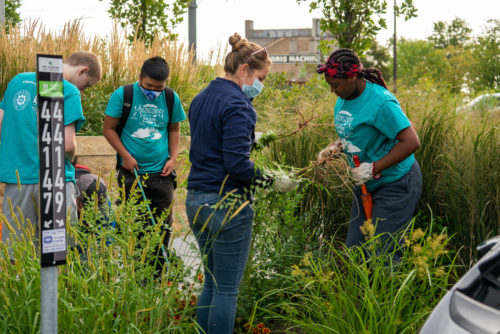 Mississippi River Green Team members and MWMO staff remove weeds from a boulevard strip along Fourth Street during an August 2021 weeding and cleanup event.
