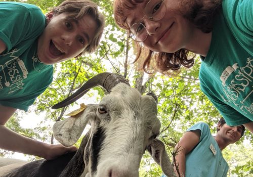 Mississippi River Green Team members with a goat.