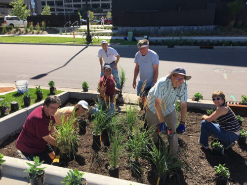 Minnesota Water Stewards planting a boulevard garden.