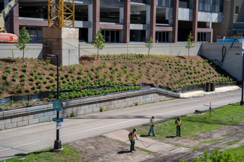 View of the Midtown Greenway and new pollinator plantings.