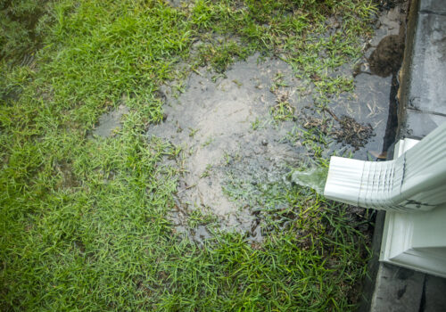 Stormwater runoff drains onto grass from a gutter downspout, causing erosion.