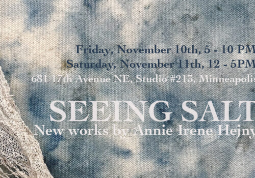 Annie Hejny Seeing Salt artwork banner image