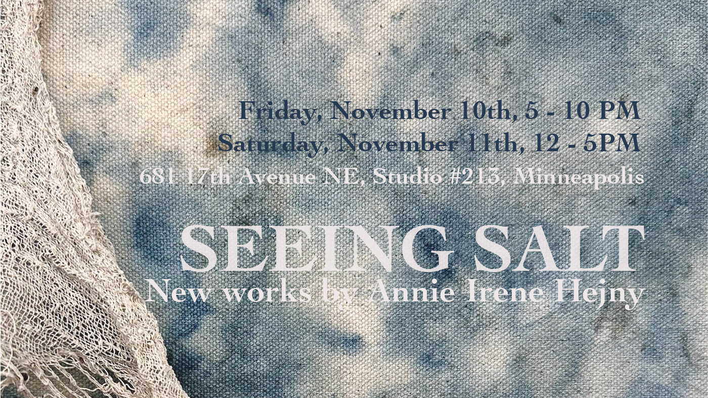 Annie Hejny Seeing Salt artwork banner image