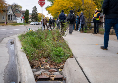 Low-angle photo of a pedestrian walking by a boulevard swale at Edison High School.